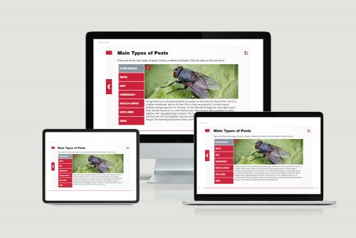Pest Awareness