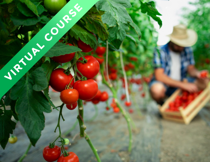 BRCGS - Vulnerability Assessment for Food Fraud (1 day)
